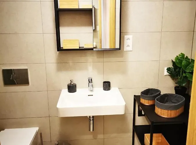 Mlynska Strouha Apartment Plzen