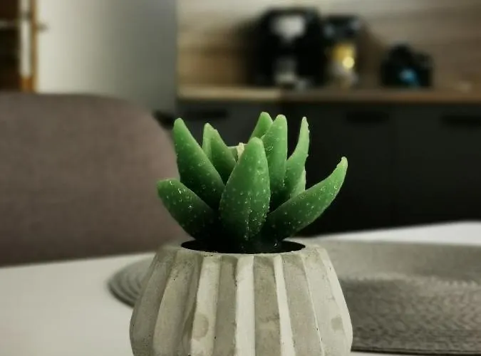 Mlynska Strouha Appartement